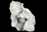 Zoned & Druzy Apophyllite Crystal Cluster - India #92241-1